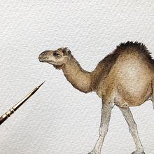 Natural World Animals. Een project van Traditionele illustratie,  Ontwerp,  Beeldende kunst,  Tekening,  Creativiteit,  Schetsen, Aquarelschilderen, Kinderillustratie,  Botanische illustratie, Sketchbook,  Illustratie met inkt, Redactionele illustratie, Naturalistische illustratie, Bloem- en plantenschikken y Decoratief schilderen van Katie Putt - 27.06.2022