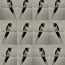 My project for course: Artistic Watercolor Techniques for Illustrating Birds. Un progetto di Illustrazione tradizionale, Pittura ad acquerello, Disegno realistico e Illustrazione naturalistica di Ivana - 16.05.2022