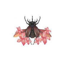 Mi proyecto del curso: Ilustración comercial con lápices de colores. Projekt z dziedziny Trad, c, jna ilustracja, R, sunek ołówkiem, R i sowanie kredkami użytkownika Katy Cano - 25.06.2022