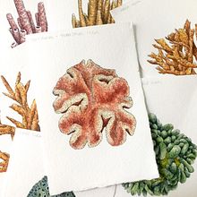 Coral Reef. Een project van Traditionele illustratie,  Ontwerp,  Beeldende kunst,  Tekening,  Creativiteit,  Schetsen, Aquarelschilderen, Kinderillustratie,  Botanische illustratie, Sketchbook,  Illustratie met inkt, Redactionele illustratie, Naturalistische illustratie, Bloem- en plantenschikken y Decoratief schilderen van Katie Putt - 28.06.2022