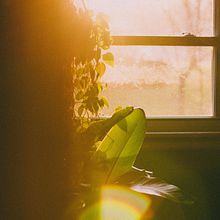 Colores al amanecer. Writing project by la_stella - 06.28.2022