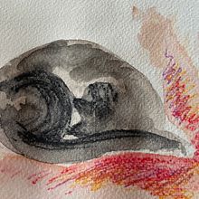 My project for course: Illustrating Nature: A Creative Exploration - Black cat. Un proyecto de Ilustración tradicional, Pintura, Dibujo, Pintura a la acuarela, Ilustración con tinta e Ilustración naturalista				 de wendy.padley - 29.06.2022