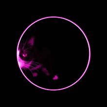 Mi proyecto del curso: Efectos de color e iluminación para fotografía de estudio. Projekt z dziedziny Fotografia, Fotografia portretowa, Światło w fotografii, Fotografia stud, jna, Fotografia c, frowa, Fotografia art, st i czna użytkownika David Gómez Mejía - 25.04.2022