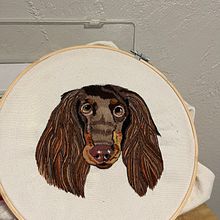 My project for course: Needle Painting for Beginners. Bordado, Ilustração naturalista, e Design têxtil projeto de Rachel Parks - 07.06.2022