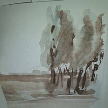 Mi proyecto del curso: Paisajes naturales en acuarela. Projekt z dziedziny Malowanie akwarelą użytkownika Susana Barrera - 30.06.2022