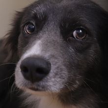 DE ESTUDIO AL HECHO. Photograph project by victorsan2004 - 07.01.2022