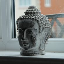My project for course: Introduction to Digital Photography in Manual Mode. Photograph, Digital Photograph, and Photographic Composition project by Claire Edwards - 07.01.2022