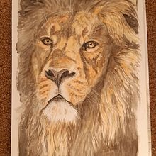 My project for course: Expressive Animal Portraits in Watercolor. Traditional illustration, Watercolor Painting, Realistic Drawing, and Naturalistic Illustration project by karin_folkesson - 07.01.2022