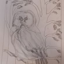 Il mio progetto del corso: Illustrazione con inchiostro e pennino: rappresenta la natura . Membuat sketsa, Menggambar, Menggambar Artistik, Buku sketsa, Ilustrasi Tinta & Ilustrasi Naturalistik proyek oleh giuliapancot78 - 07.02.2022