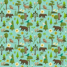 My project «Forêt boréale» for course: Digital Pattern Illustration Inspired by Flora and Fauna. Projekt z dziedziny Trad, c, jna ilustracja, Pattern design,  R, sunek, Ilustracja c, frowa, R i sunek botaniczn użytkownika France Mars - 03.07.2022
