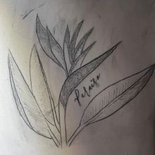 Mi proyecto del curso: Tatuaje botánico con puntillismo. Traditional illustration, Tattoo Design, and Botanical Illustration project by anitadcgarcia - 07.03.2022