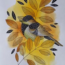 Birds from my sketchbook. Un progetto di Illustrazione tradizionale e Disegno di Magdalena Nawrocka - 03.07.2022