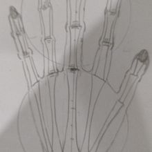 Mi proyecto del curso: Dibujo anatómico para principiantes. Fine Arts, Sketching, Pencil Drawing, Drawing, Realistic Drawing, and Figure Drawing project by Laura Rodríguez - 07.04.2022
