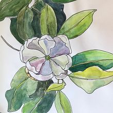 My project for course: Botanical Sketchbooking: A Meditative Approach. Traditional illustration, Drawing, Botanical Illustration, and Sketchbook project by Joanne Stephan - 07.04.2022
