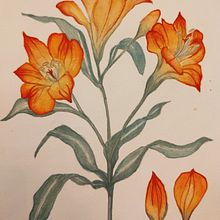 My project for course: Botanical Watercolor: Illustrate the Anatomy of Flowers. Un progetto di Illustrazione tradizionale, Belle arti, Pittura, Disegno, Pittura ad acquerello e Illustrazione botanica di Tássia Klt - 03.07.2022