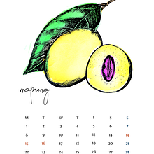 Fruit for Thought - 2019 Calendar Design. Een project van Traditionele illustratie,  Ontwerp, Grafisch ontwerp,  Tekening, Digitale illustratie, Digitaal ontwerp, Digitale tekening y Bloem- en plantenschikken van lorlianne - 05.07.2022