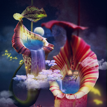 My project for course: Magical Photomontage in Photoshop: Creating Visual Metaphors. Pós-produção fotográfica, Retoque fotográfico, Fotografia digital, Composição fotográfica, e Fotomontagem projeto de Lilu Vega - 06.07.2022