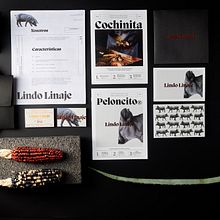 Lindo Linaje. Publicidade, Fotografia, Design de produtos, Packaging, Redes sociais, e Fotografia do produto projeto de Rodolfo Vallado Dall'Ava - 07.07.2022