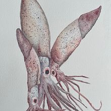 Oktopus. Traditional illustration, and Watercolor Painting project by sabine.hobbie - 07.08.2022
