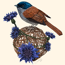 Mein Kursprojekt: Kugelschreiberzeichnungen: Naturalistische Illustration. Projekt z dziedziny Trad, c, jna ilustracja,  R, sunek, R, sunek realist, czn, Ilustracja naturalist i czna użytkownika Nathalie W - 08.07.2022