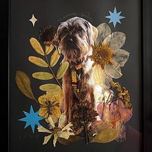 Mi proyecto del curso: Técnicas básicas de prensado botánico. Un projet de Artisanat, Beaux Arts, Collage, DIY , et Art floral et végétal de Maria Triana Monroy - 28.12.2021