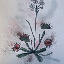Another study . Watercolor Painting project by Somer Selway - 07.09.2022