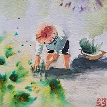 Planting rice. Watercolor Painting project by Tal Sayag - 07.09.2022