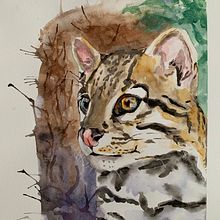 My project for course: Expressive Animal Portraits in Watercolor . Ilustrasi tradisional, Lukisan Cat Air, Gambar Realistis & Ilustrasi Naturalistik proyek oleh Jessica Schwanzara - 07.09.2022