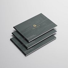 Pronova Estates. Br, ing, Identit, and Design project by Luis Montero - 05.09.2022