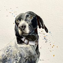My project for course: Expressive Animal Portraits in Watercolor. Un progetto di Illustrazione tradizionale, Pittura ad acquerello, Disegno realistico e Illustrazione naturalistica di kackelabacken35 - 10.07.2022