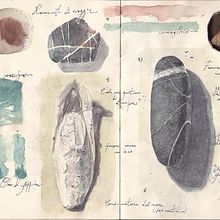 resoconto di un viaggio_ campionature del mare_2017 Ein Projekt aus dem Bereich Traditionelle Illustration, Bildung, Bildende Künste, Malerei, Kalligrafie, Bleistiftzeichnung, Zeichnung, Aquarellmalerei, Stor, telling, Artistische Zeichnung, Realistische Zeichnung, Botanische Illustration, Sketchbook, Erzählung und Gouachemalerei von Claudio Patanè - 11.07.2022