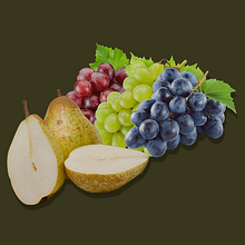 Projeto do curso: Design gráfico para iniciantes - Uvas e Pêras!. Design, Br, ing, Identit, Graphic Design, T, pograph, Logo Design, T, pograph, and Design project by Marisa Martins - 07.11.2022