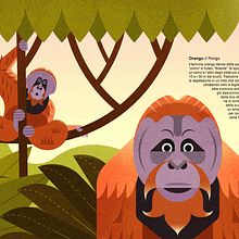 My project for course: Wildlife Illustration for Children's Books. Vector Illustration, Digital Illustration, and Children's Illustration project by Simone De Rosa - 07.12.2022