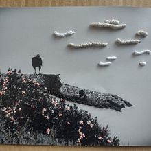 Meu projeto do curso: Introdução ao bordado em fotografias: crie imagens com texturas. Photograph, Paper Craft, Embroider, DIY, and Textile Design project by Nirvi Viveiros - 07.12.2022