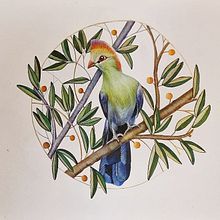 Knysna Loerie botanical painting with metallic filigree details. . Traditional illustration, Fine Arts, Watercolor Painting, and Botanical Illustration project by Jenni McCann - 07.04.2022