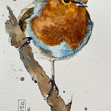Mijn project van de cursus: Vogels illustreren met artistieke aquarel. Un progetto di Illustrazione tradizionale, Pittura ad acquerello, Disegno realistico e Illustrazione naturalistica di Ulrike Schluter - 12.07.2022