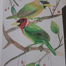 Mi proyecto del curso: Creación de paletas de color con acuarela. Een project van Traditionele illustratie,  Beeldende kunst, Schilderij, Aquarelschilderen y Kleurentheorie van Marisol Rojas - 11.07.2022