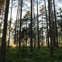 Mi proyecto del curso: Fotografía de viajes y lifestyle. Un proyecto de Fotografía, Fotografía en exteriores, Fotografía Lifest y le de ias2293 - 26.06.2022
