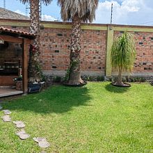 Jardin Posterior. Un progetto di Paesaggismo, Design floreale e vegetale e Progettazione dello spazio di hector rene rodarte lira - 09.07.2022