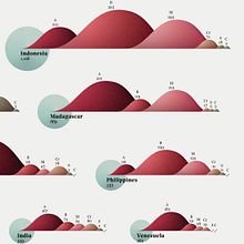 Endemic species. Design, Traditional illustration, Information Design, Infographics, Graphic Design, Vector Illustration, Stor, and telling project by Federica Fragapane - 07.14.2022