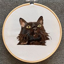 Meu projeto do curso: Needle painting para principiantes. Embroider, Naturalistic Illustration, and Textile Design project by Lucas Tosin Paese - 07.14.2022