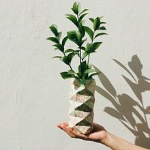 Maceta de polietileno reciclado. Un proyecto de Diseño industrial, Diseño de producto, Papercraft, Fotografía de producto, Diseño floral y vegetal de Paulina Bugeda - 15.07.2022