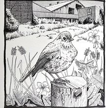 My project for course: Dip Pen and Ink Illustration: Capturing The Natural World. Sketching, Drawing, Artistic Drawing, Sketchbook, Ink Illustration, and Naturalistic Illustration project by Jennie Bibbings - 07.16.2022