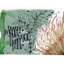 Mi proyecto del curso: Ilustración de universos marinos en acuarela. Un progetto di Illustrazione tradizionale, Pittura, Pittura ad acquerello e Illustrazione naturalistica di Tamara - 16.07.2022
