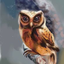 Animals. Un projet de Illustration traditionnelle de Konstancja Klimkiewicz - 17.07.2022