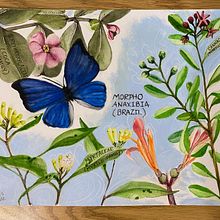 My project for course: Naturalist Journaling with Watercolor. Ilustração tradicional, Pintura em aquarela, Ilustração botânica, Sketchbook e Ilustração naturalista projeto de jen_776532 - 17.07.2022