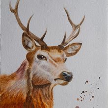 My project for Expressive Animal Portraits in Watercolor. Un progetto di Illustrazione tradizionale, Pittura ad acquerello, Disegno realistico e Illustrazione naturalistica di Manis - 17.07.2022