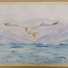 Gabbiano . Watercolor Painting project by Orietta Pierassa - 07.17.2022
