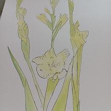 My project for course: Illustrating Nature with Watercolor and Pen. Fine Arts, Painting, Drawing, Watercolor Painting, and Botanical Illustration project by Judy James - 07.18.2022