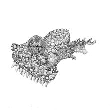 Chameleons of Afirca. Traditional illustration, Fine Arts, and Drawing project by Maggie Gericke - 07.18.2022